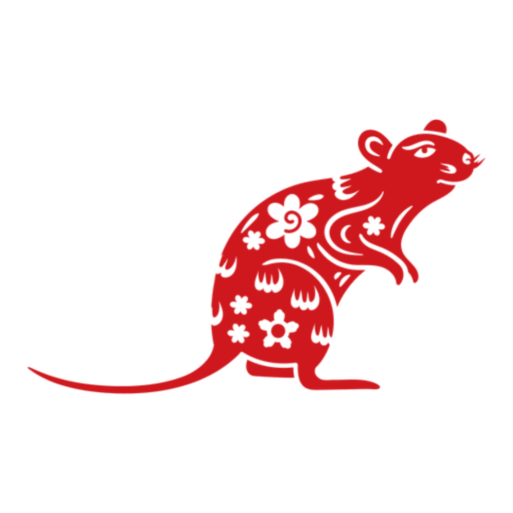 rat chinese zodiac sign 2025