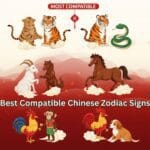 Best Compatible Chinese Zodiac Sign