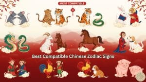 Best Compatible Chinese Zodiac Sign
