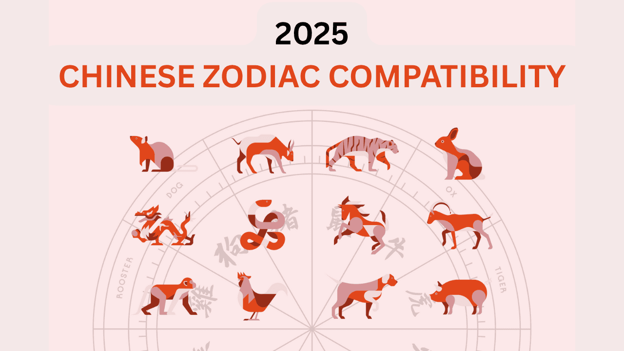 Unlocking Love and Compatibility Chinese Zodiac Insights
