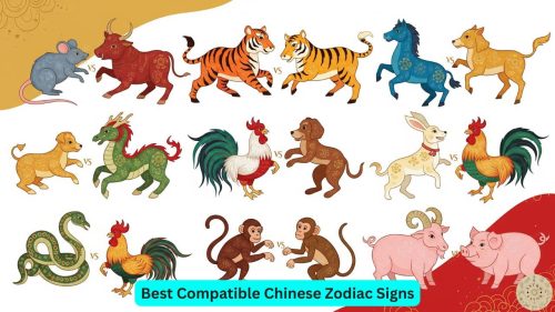 chinese zodiac compatibility chart